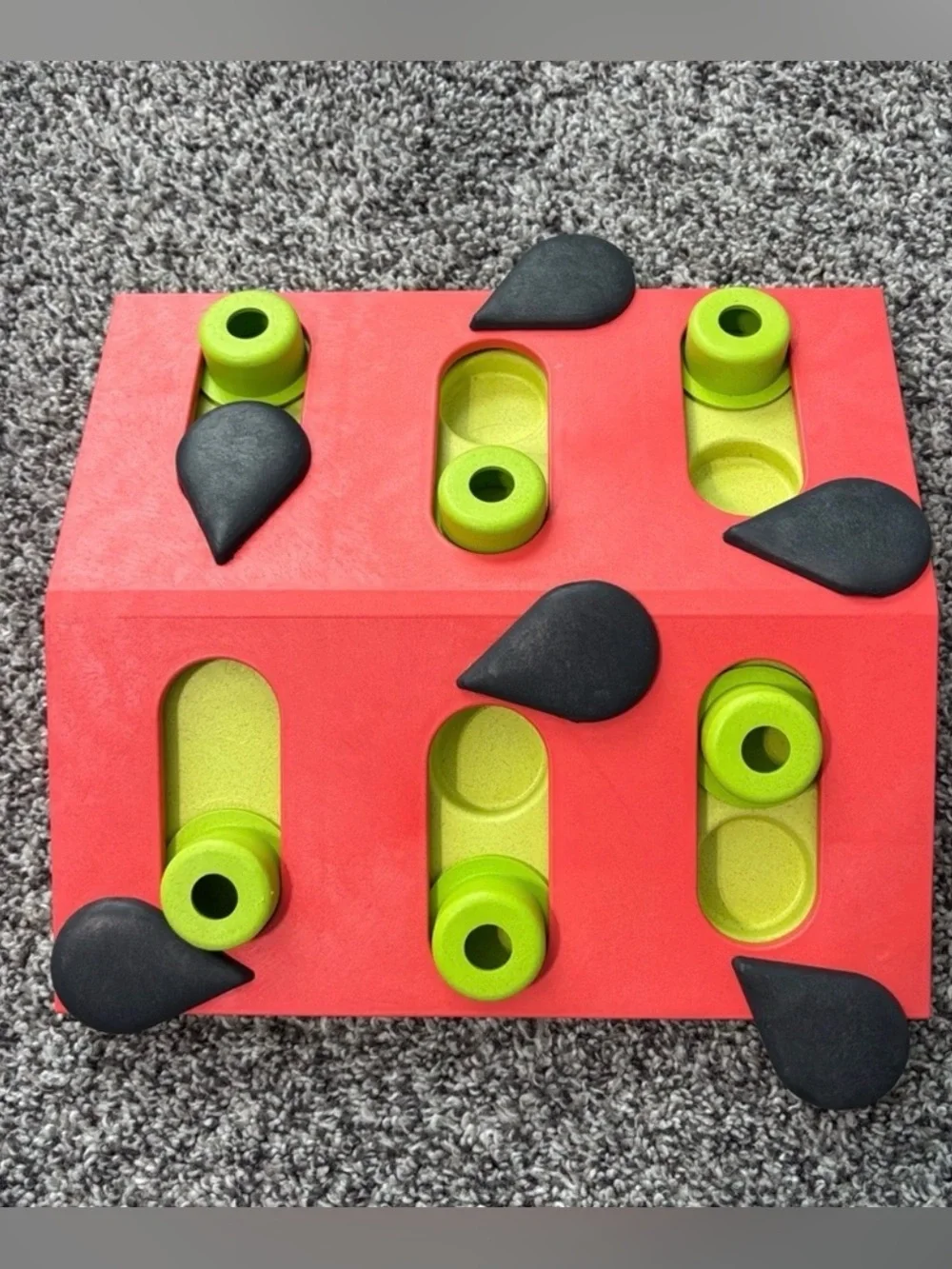 EUC Cat Puzzle & Play Toy for Treats